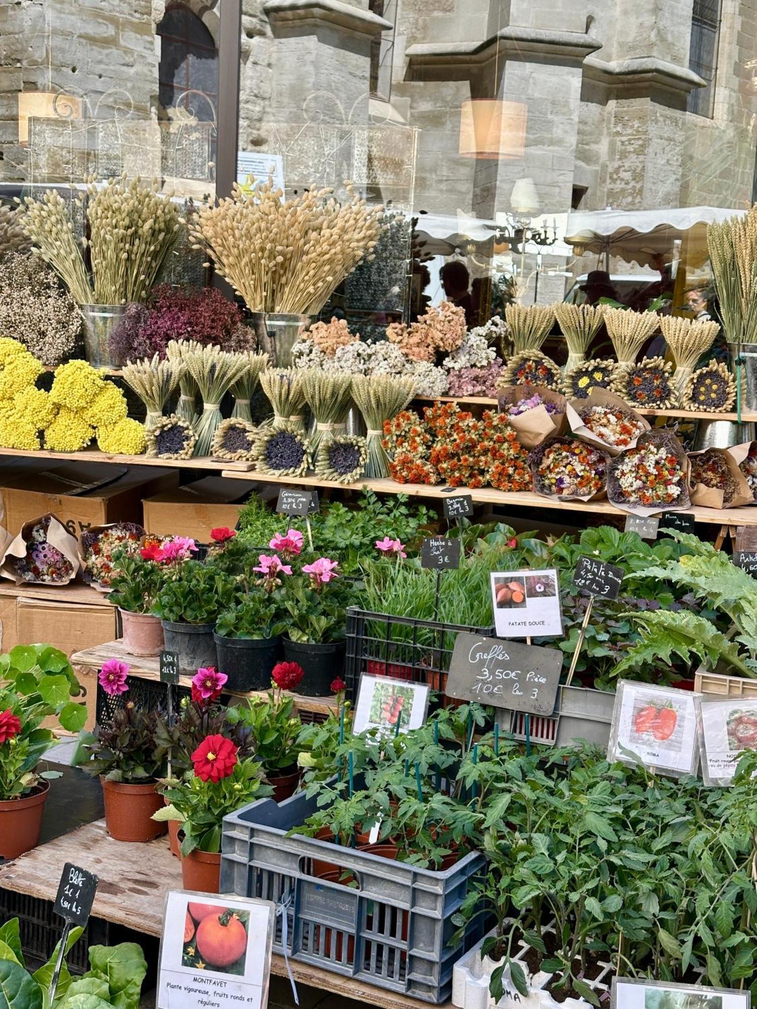 Appartamento L Atelier De La Sorgue LʼIsle-sur-la-Sorgue Esterno foto